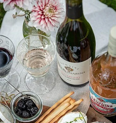 Picknick mit Côtes du Rhône Weinen