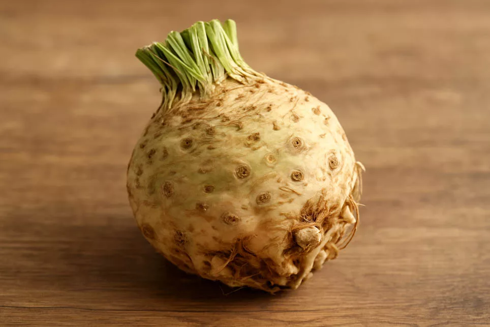 Sellerieknolle liegt auf Holzuntergrund