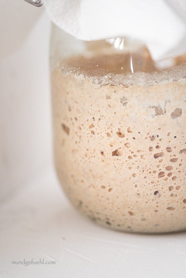 Sauerteig in einem Glas