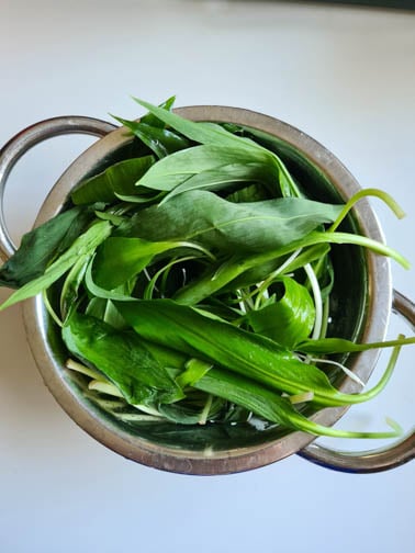 Bärlauchblätter in Sieb