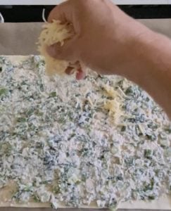 Käse wird auf Pizza verteilt