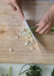 Lauchzwiebel wird geschnitten