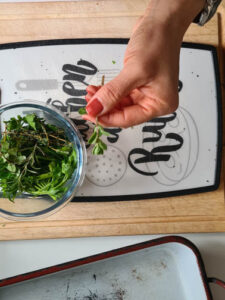 Kräuter werden vom Stiel gezupft