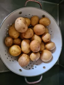 Kartoffeln in Sieb werden gewaschen