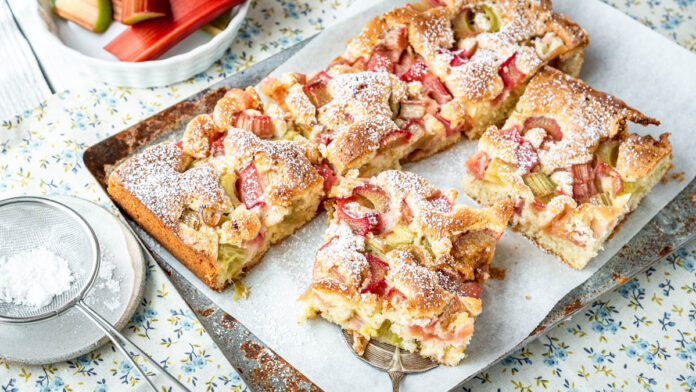 Rhabarberkuchen vom Blech mit Puderzucker in Stücke geschnitten